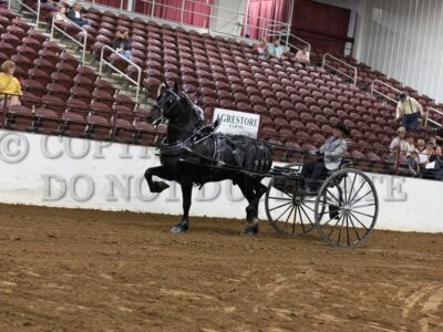 Percheron Mens Cart