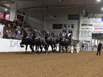 Six Horse Hitch
