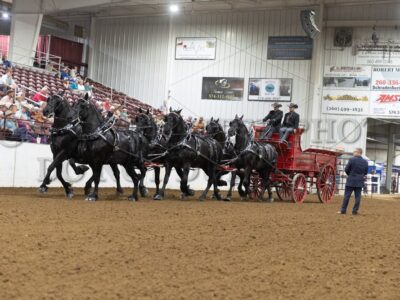 Six Horse Hitch