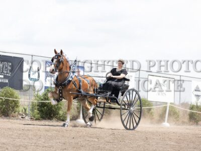 Belgian Ladies Cart