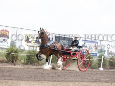 Clydesdale Cart