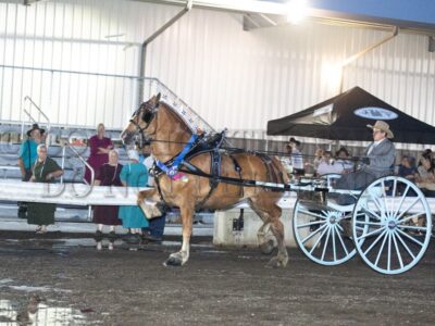 TLA Graduate Cart Class
