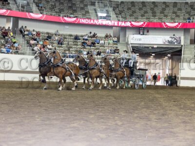 Mare Six