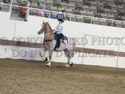 Under Saddle