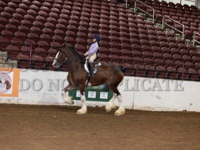 PeeWee Riding