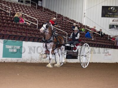 Mare Cart