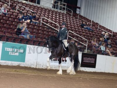 Youth English Riding