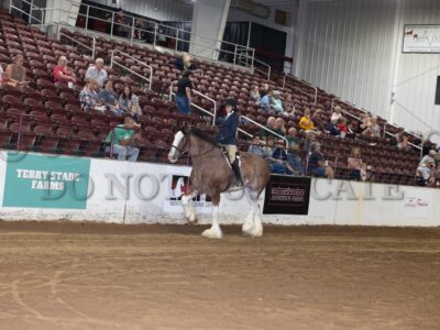 English Riding