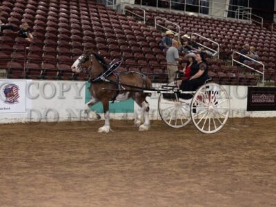 Youth Cart Class