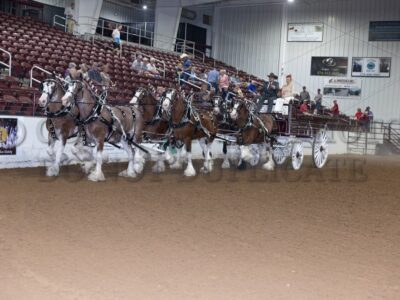 Mare Six