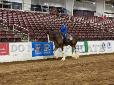 Youth Western Riding