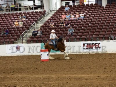 Barrel Racing