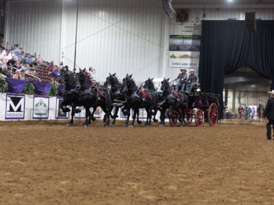 Classic Series Six Horse Hitch - Round 1