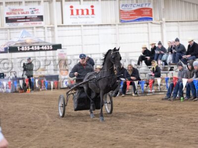 Lot 31-40