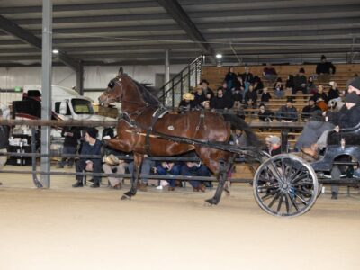Lot 171-180
