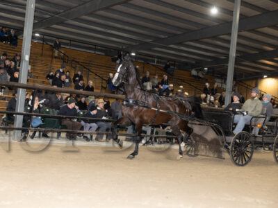 Lot 11-20