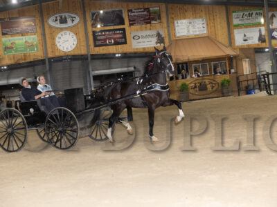 Lot 31-40