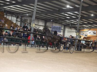 Lot 111-120