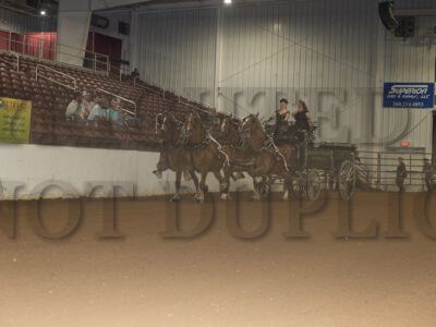 Four Horse Hitch