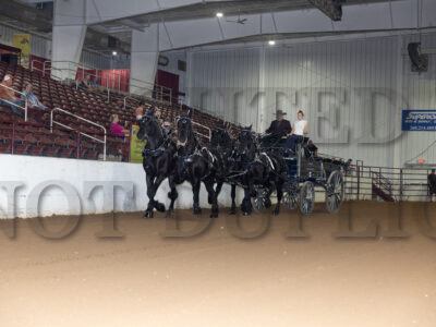 Four Horse Hitch