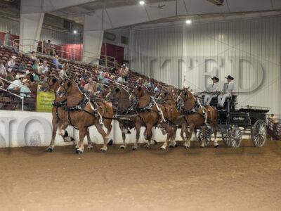 Six Horse Hitch
