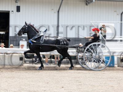 Youth Cart - Senior