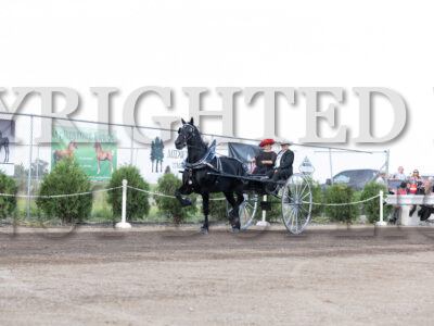 Youth Cart Championship