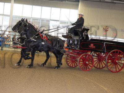 Gelding Team