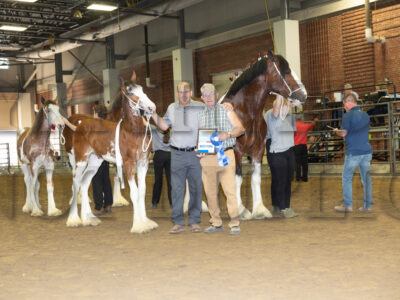 Group Classes