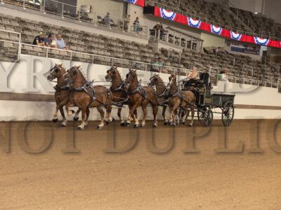 Classic Series Six Horse Hitch