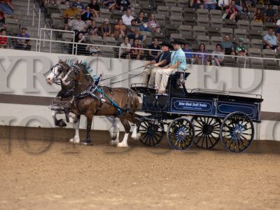 Draft Pony Jr Driver - Team