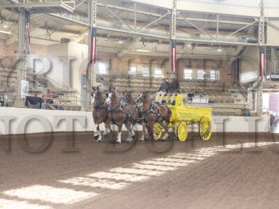 Amateur Four Horse Hitch