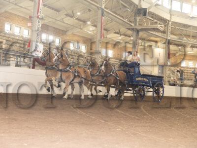 Open Four Horse Hitch