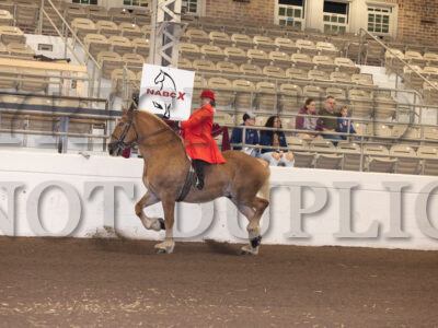English Riding