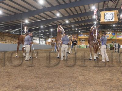 Group Classes