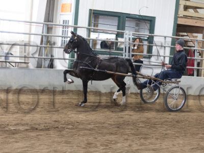 Lot 31-40