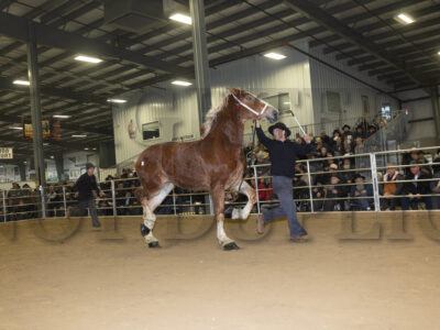 Lot 51-70