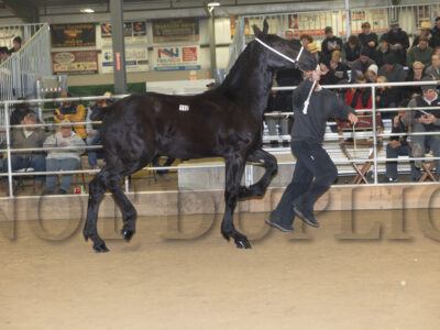 Lot 111-130
