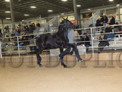 Lot 151-174