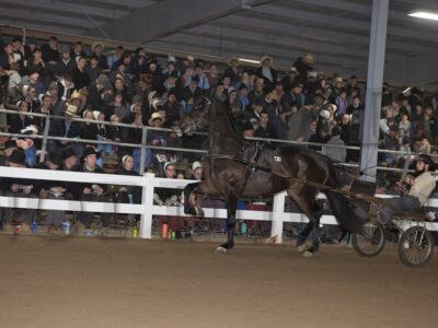 Lot 41-50