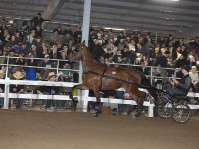 Lot 161-170