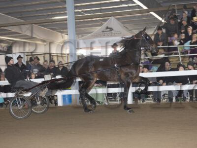 Lot 171-180