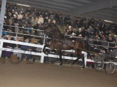 Lot 181-190