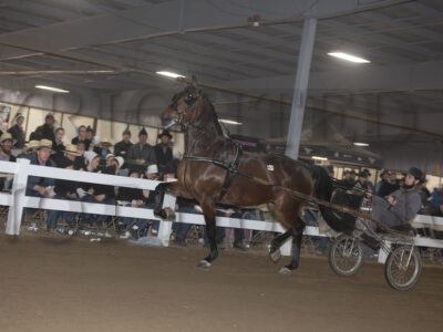 Lot 221-230