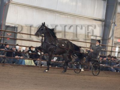 Lot 221 - 240