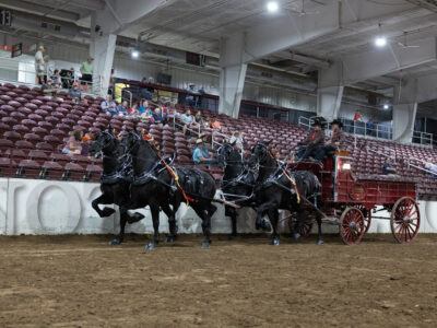 Four Horse Hitch - Group A