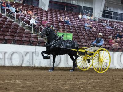 Men's Cart - Group A