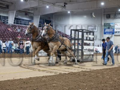 Overweight Horse Pull