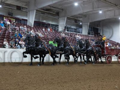 Six Horse Hitch
