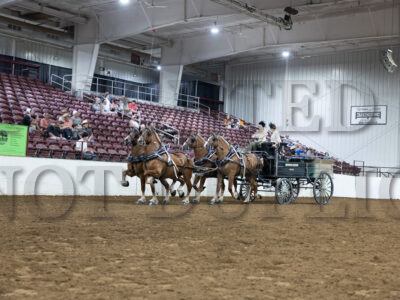 Four Horse Hitch - Group B